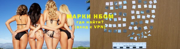 индика Аркадак