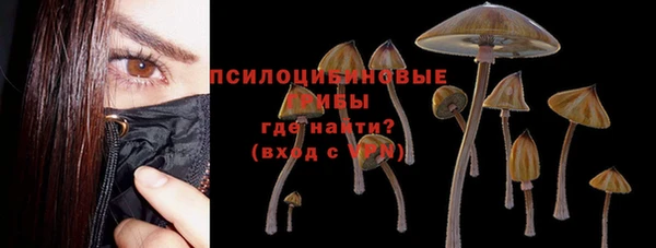 индика Аркадак