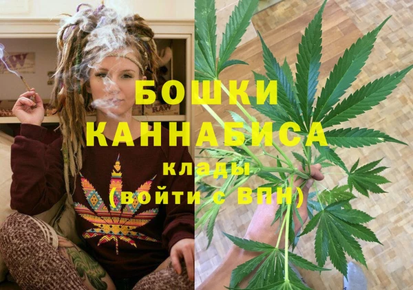индика Аркадак