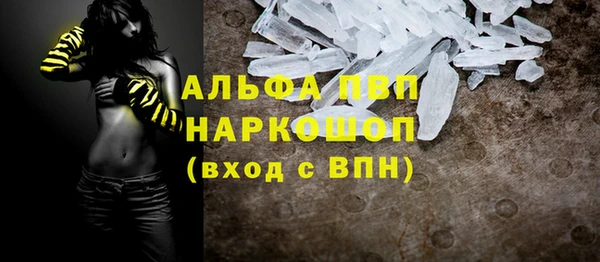 индика Аркадак