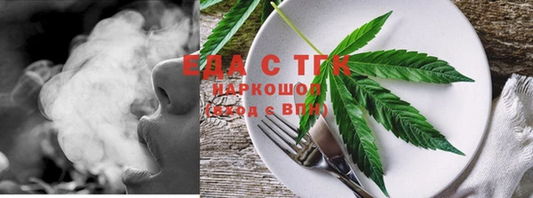индика Аркадак