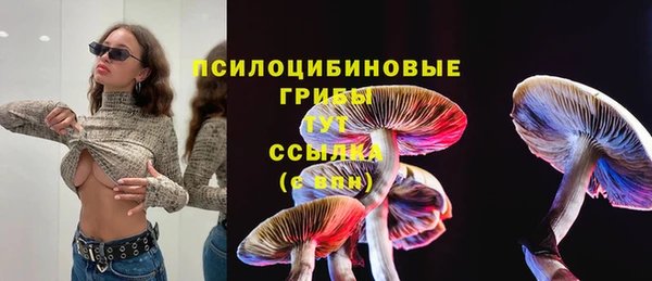 MESCALINE Арсеньев