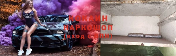 индика Аркадак